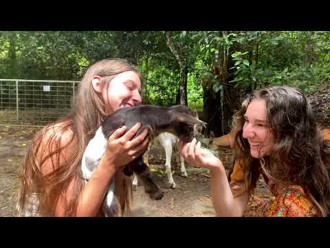 Living in Nature s Rhythms Off Grid in the Australian
