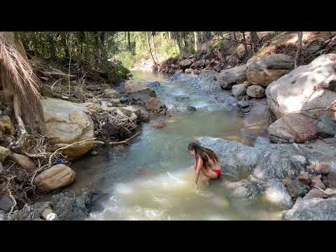 Alone and Off Grid Building a Self Reliant Life in Nature