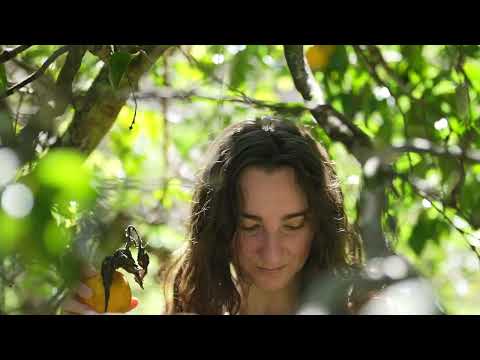 Escape to an Off Grid Paradise How We Grow Our Own Food and