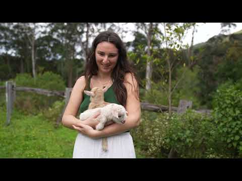 Spring on My Rainforest Farm Magic and Hardship All At Once