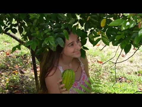 To Live Quietly with Nature Routines of a Slow Life in the