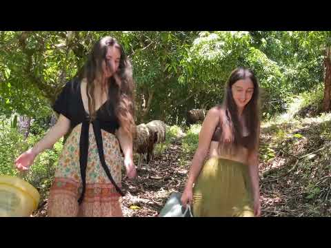 Off Grid Summer Routines Growing Food Building Gardens