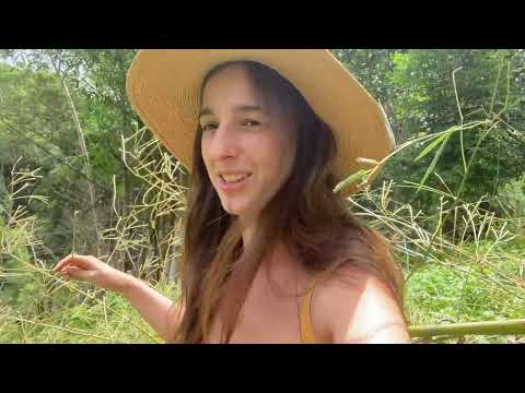 Summer in the Rainforest Building with Bamboo and