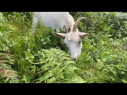 Daily Life in the Rainforest A Wonderful Journey to Live in