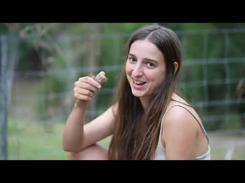 Growing A Banana Forest Spring Routines in the Jungle