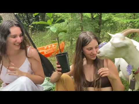 Summer is Coming Enchanting Moments of our Life in the