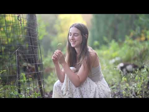 Why I Live a Simple Life Four Years in the Countryside