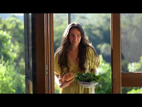 The Bountiful Food of the Rainforest