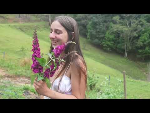 Nature Living Alone in the Rainforest
