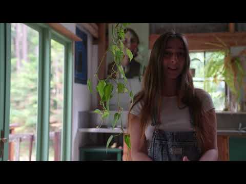 Renovating my Rainforest Shack Alone and Off Grid