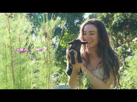 The Magic of a Life in Nature