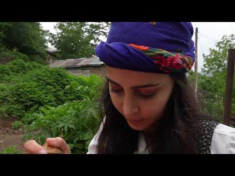 Nomad Style Rice Chicken Cutlet Mountain Village Cooking
