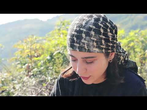 Daily life in the village and cooking Brazilian cuisine in