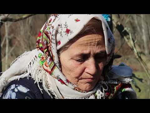 How to make traditional meat soup with quail bread with
