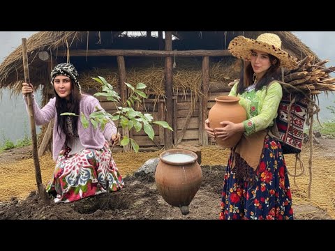 Rainy Day Village Life Making Traditional Resteh Noodles