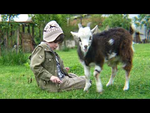 Mountain Village Life Cooking Traditional Meatballs with
