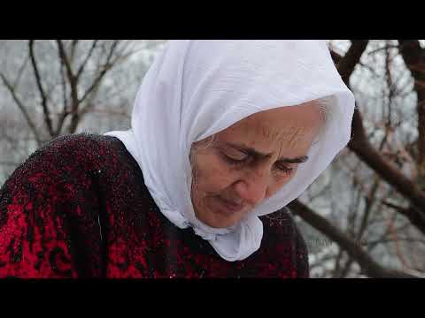 Hardcore in snowy village cooking dolma with Mince and