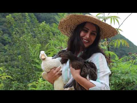 A Mountain Pasture Morning Duck Flatbread Cooking