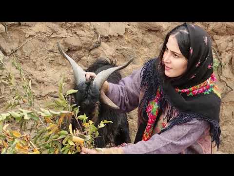 Cooking three different types of rice with mutton in the
