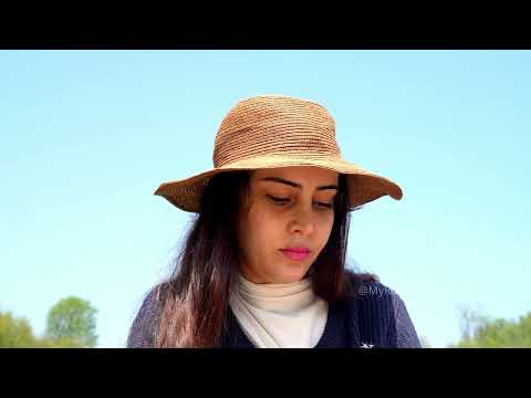 Kabāb Torsh Persian Charcoal Grilled Kebab with Rich Sauce