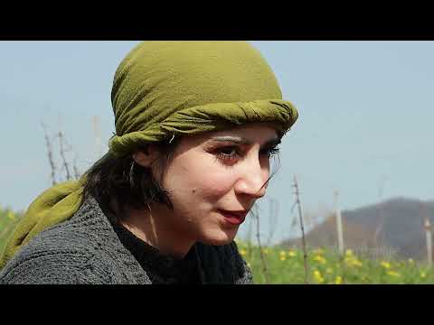 Cooking Vegetarian food Called Tareh on Sizdah be Dar