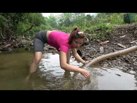 Fishing Catch fish with pump Catching a lot of fish in the