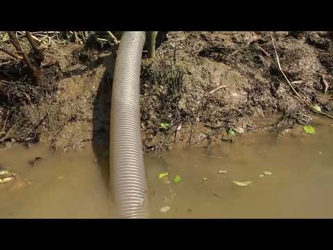 Fishing Exciting Catch A Lot Of Fish In The Lake By Using