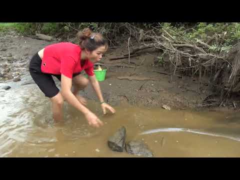 Hunting wild fish Using a pump pumping water outside the