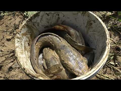 REWIND TIME LAPSE VIDEO Fishing Alone on Rivers and Lakes