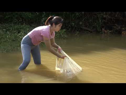 How To Catch Fish In The Wild Amazing Cast Net Fishing