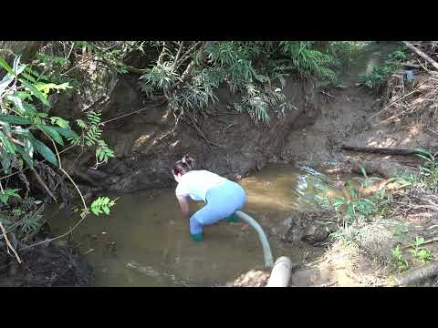 Unique Fishing Skills How to Catch Giant Fish with a Pump