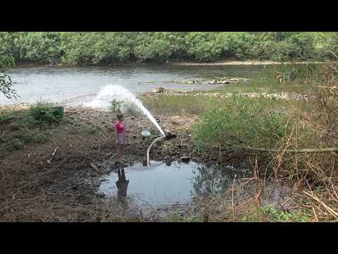 Top Video Fishing Fishing Exciting Unique Way to Catch Fish