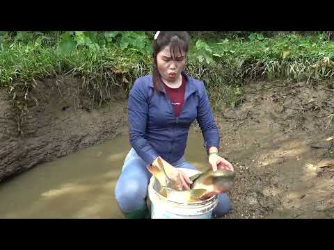 Top Video Fishing Fishing Techniques Drag Net To Catch Big
