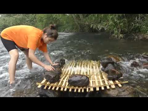 Fishing Trap in the River Create fish traps on the river