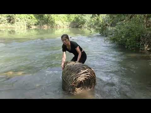 Top Videos Amazing Fishing Making Fish Traps Unique Fishing