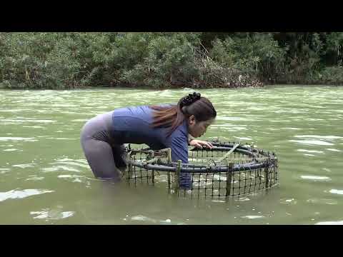 Fishing With Primitive Methods Traditional Fish Trap