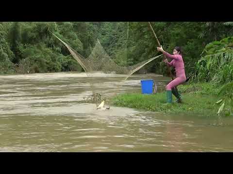 Full Video The Young Girl s Excellent Fishing Skills on The