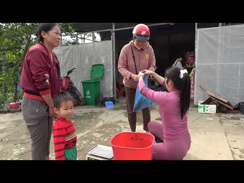 Unbelievable Fishing Skills Girl Pulling Nets on Rivers