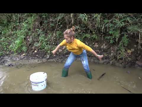 Daily Life Catch Big Fish River and Lake Fishing Experience