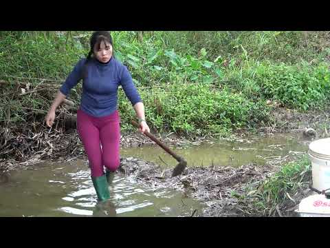 Full Video Very İnteresting Fishing Solo Fishing in Rivers