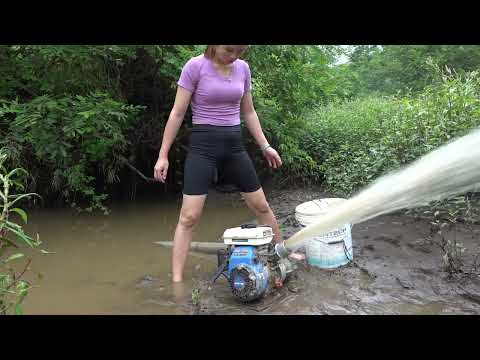 Top Videos Survival Fishing Fishing Skills Amazing Fishing