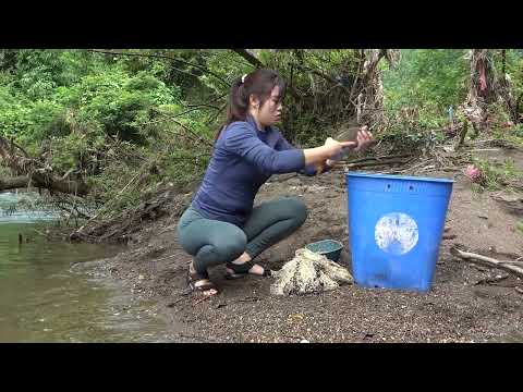 Fishing Techniques How To Trap Stream Fish and Traditional