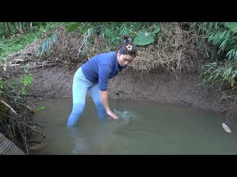 A lot of big fish appeared when a village girl used a pump