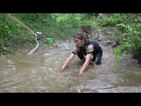 Hunting Wild Fish Using A Pump Pumping Water Outside The