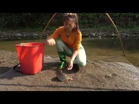 Smart Girl s Unique Fishing Harvesting Many Fish with