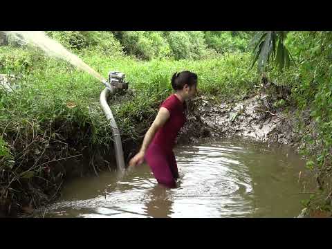 Fishing Techniques How to Catch Fish in the Wild Fishing