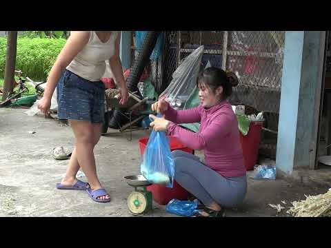 Full Video Incredible Fishing in River Using Trawl Nets
