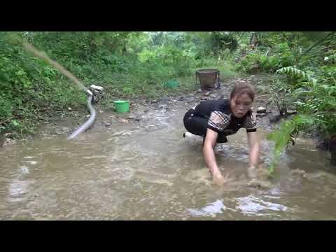 Video fishing Survival skills Modern Technology To Catch