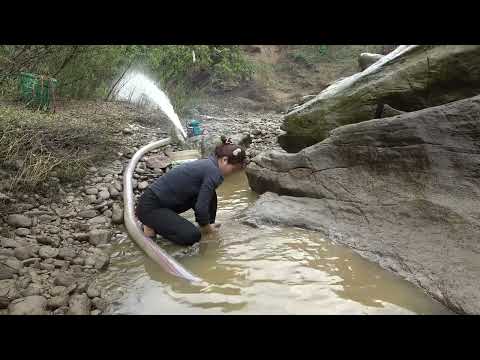 Greatest Fishing How to Catch Wild Fish The Girl Use Motors