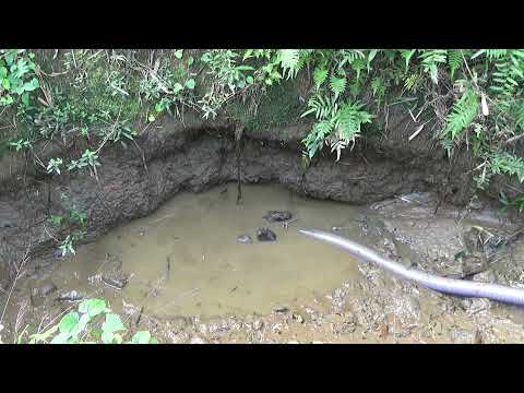 Hunting wild fish Using a pump pumping water outside the